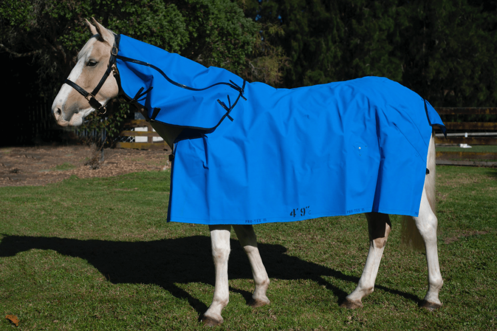 Horse wearing a blue fabric horse rug - animal cover fabrics